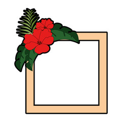 exotic and tropical flower frame