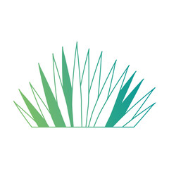 tropical palm leaf icon