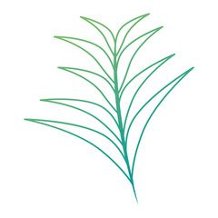 tropical palm leaf icon