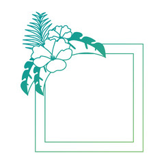 exotic and tropical flower frame