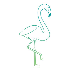exotic bird flamingo icon