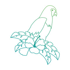 cockatoo exotic bird with flower