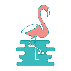 exotic bird flamingo with water