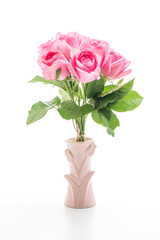 pink rose on white background