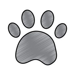 paw print pet shop concept vector illustration