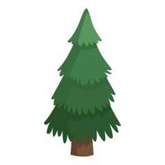 Tree pine isolated icon vector illustration graphic design