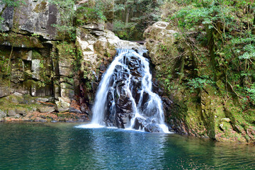 Fototapeta premium 赤目四十八滝 千手滝