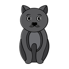 cat sitting pet animal domestic vector illustration