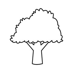 Tree nature symbol icon vector illustration graphic design