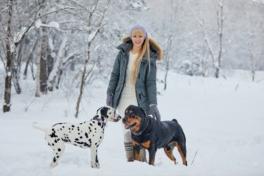 A beautiful blonde is walking with a Rottweiler and a Dalmatian in a snowy forest.