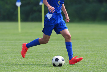 Fototapeta premium サッカー フットボール