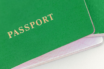 Green passport, close-up