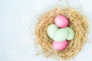 Colored Easter eggs in the nest and flowers. Space for text. Festive light Easter decoration. Easter concept.