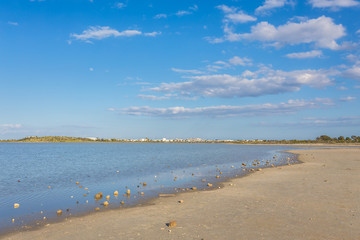 Salt lake, natural phenomenon near Larnaka
