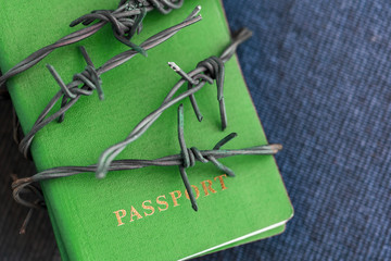 Green Passport behind barbed wire on a blue textile background, close-up. Toned