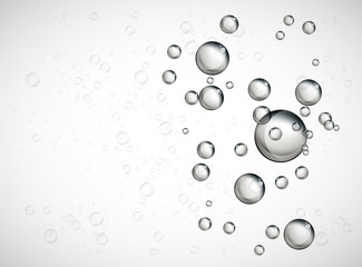 Water bubble rising on clear background. 