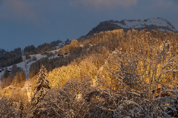 France, snowy trees in the french alps nearby The Grand Bornand ski resort