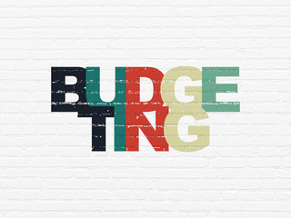 Finance concept: Painted multicolor text Budgeting on White Brick wall background