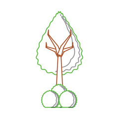 tree with bushes icon