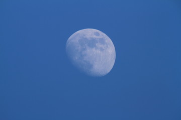 Moon on the blue sky.