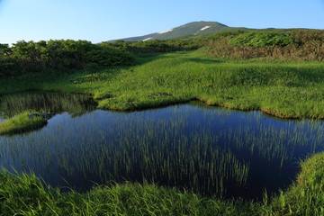 初夏の月山　弥陀ヶ原の池塘　Mt.Gassan in early summer (Pond of wetland) / Tsuruoka, Yamagata, Japan