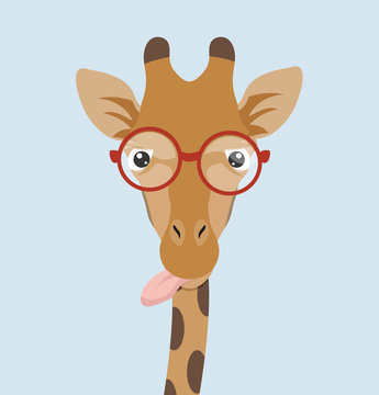 Portrait Giraffe with glasses