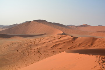 Fototapeta na wymiar dune namibie