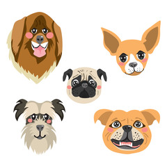 Obraz premium Flat color style different funny dog faces avatar collection