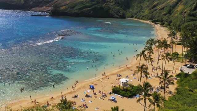 close up panning shot of the beach and reef at the popular snorkeling location, hanauma bay in hawaii