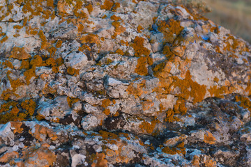 The texture of the stone with velvet moss