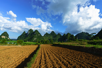 Soil on rice field after harvesting season with mountain and blue sky in Vietnam