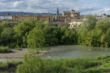 views of the mosque of Cordoba