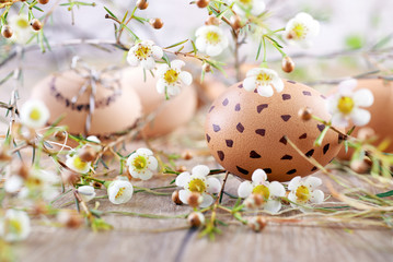 Specked brown Easter egg on wood with white flowers