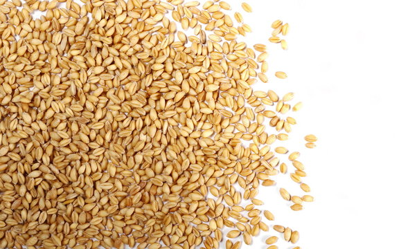 Wheat grains isolated on white background, top view