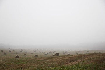 Haystacks  on the autumn field. 