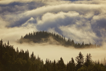 Misty dawn in the mountains