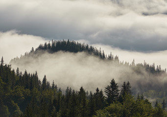 Fantastic foggy day and bright hills by sunlight. Dramatic morning scenery.