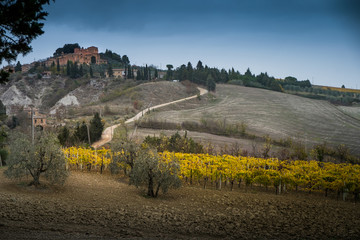 Obraz premium Chiusure, Siena, Tuscany - Novembre 12, 2017: Chiusure, autumnal trekking in the province of Siena, from Buonconvento to Monte Oliveto Maggiore Abbey