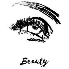 Beauty lashes and brows. Female Eye illustration. Make-up