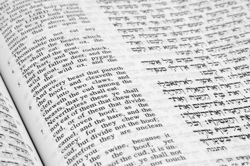 Food laws including not eating hoofed animals and seafood from Deuteronomy 14:6-9, Hebrew Jewish bible