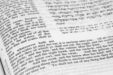 Food laws including not eating hoofed animals and seafood from Deuteronomy 14:6-9, Hebrew Jewish...