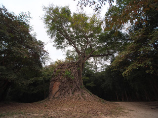 Kampong Thom,Cambodia-December 21, 2017: Sambor Prei Kuk is an archaeological site in Cambodia. It...