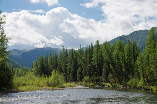 Beautiful summer landscape with mountains, forest and a river in front. Blue cloudy sky at background.