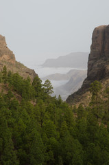 El Juncal ravine and southwest cliffs. The Nublo Rural Park. Tejeda. Gran Canaria. Canary Islands. Spain.