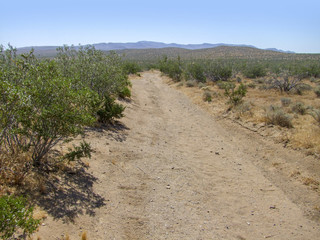 Death Valley National Park