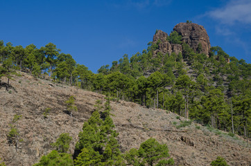 Morro de La Negra. Integral Natural Reserve of Inagua. Tejeda. Gran Canaria. Canary Islands. Spain.