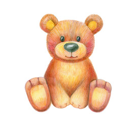 Fototapeta premium Cute sitting baby bear isolated, hand drawing.