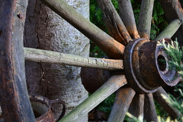 Stare koło od wozu na wsi  © aveypro