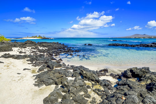 &Icirc;le de Floreana, Archipel des Galapagos, &Eacute;quateur