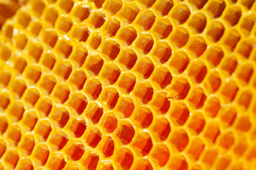 Well-being and healthy eating concept - fresh organic honey comb